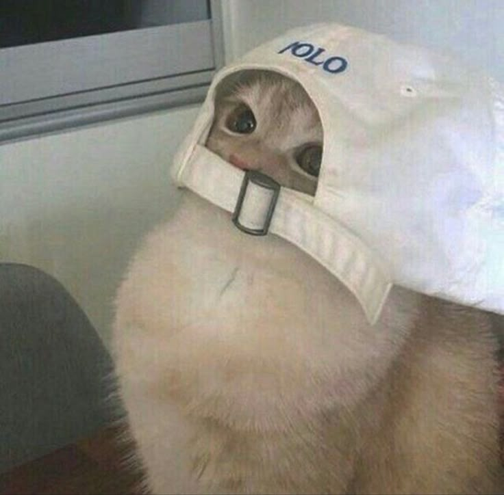 1744911372826.png