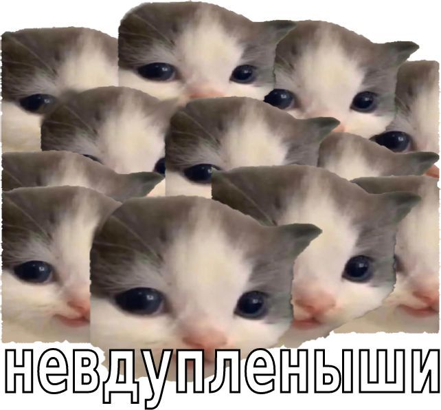 1744911724626.png