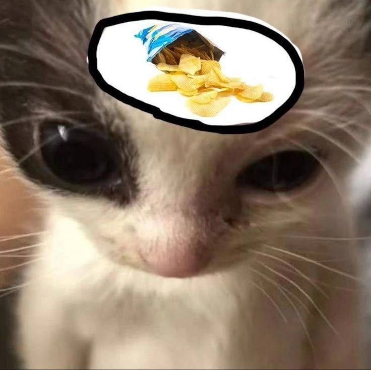 1744915110319.png