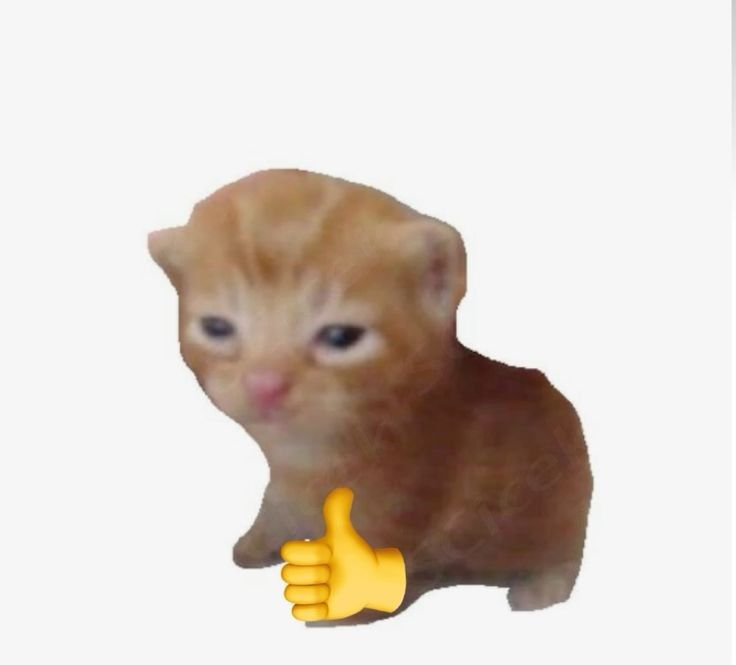 1745148611801.png
