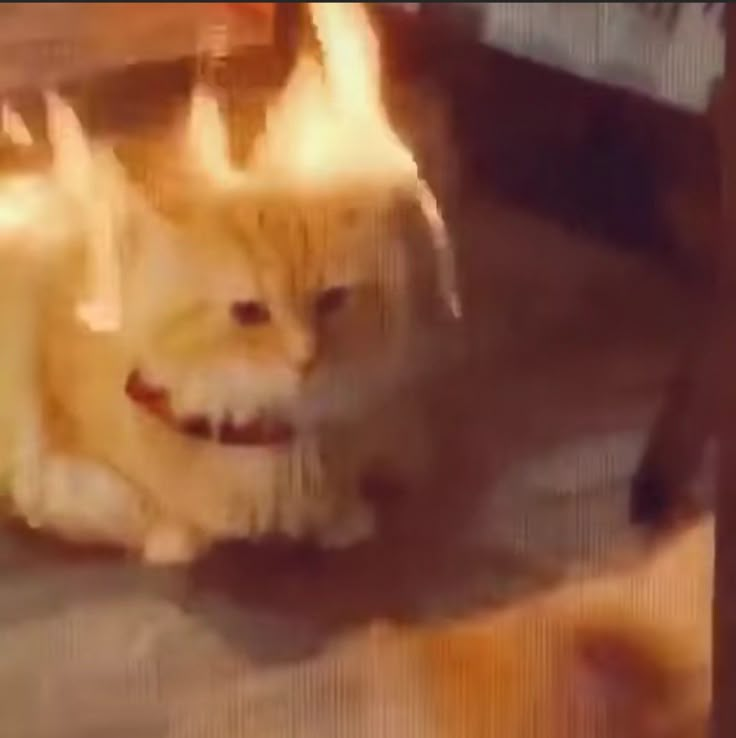 1745236852334.png