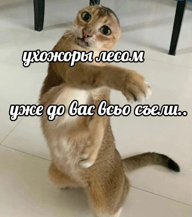 1745270408059.png