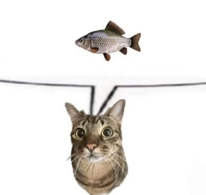 1745307154040.png