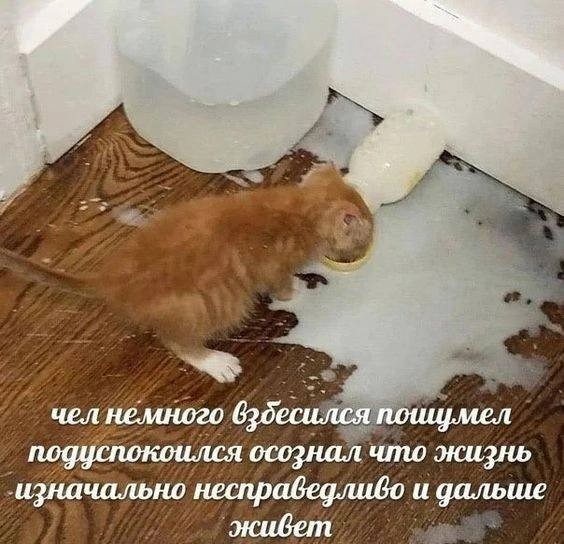 1745405368173.png