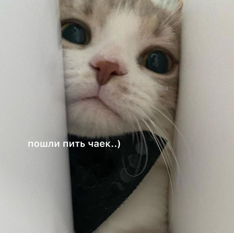 1745417489109.png