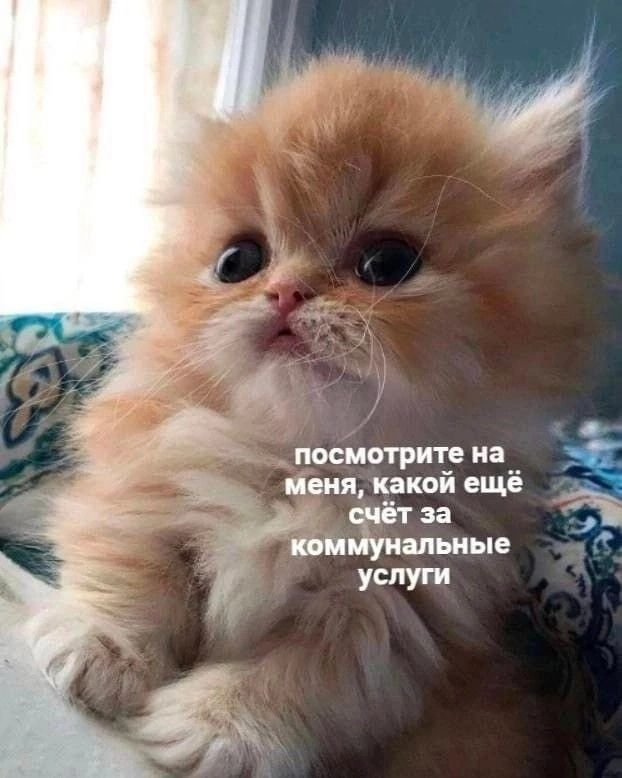 1745513937432.png