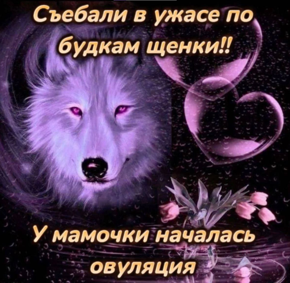1745567874232.png