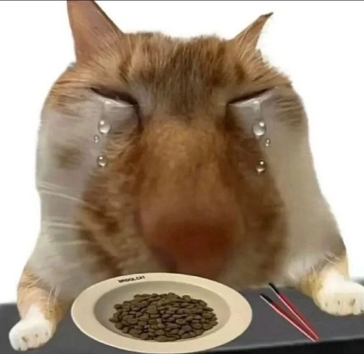 1745568582753.png