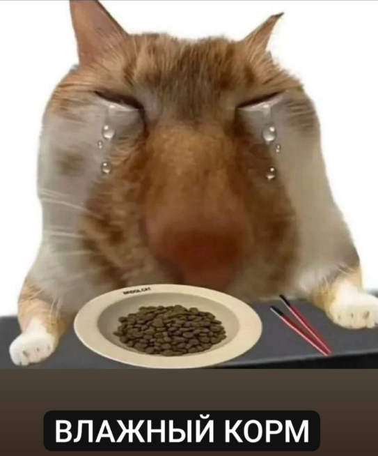 1745585592157.png