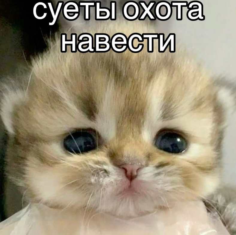 1745586517593.png