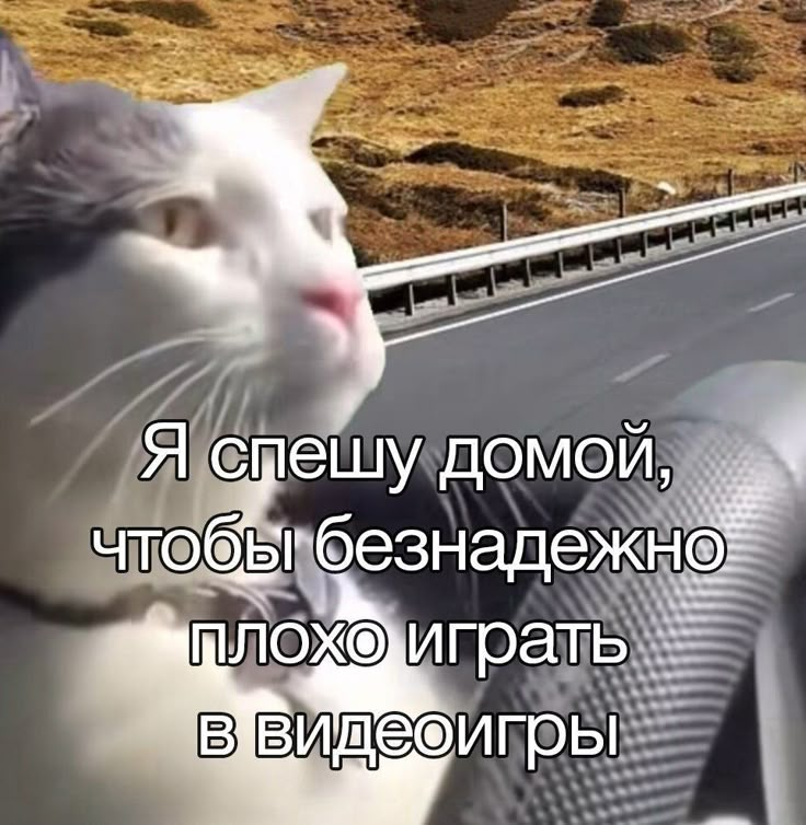 1745673736843.png