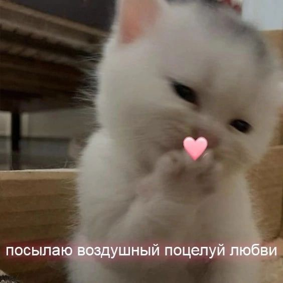 1745694235341.png