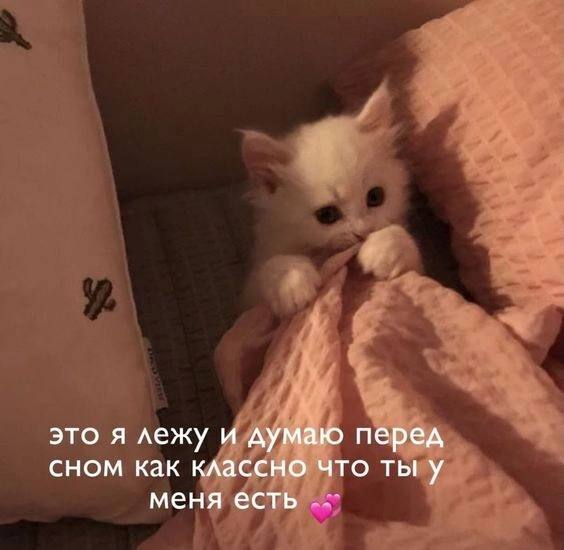 1745694761369.png