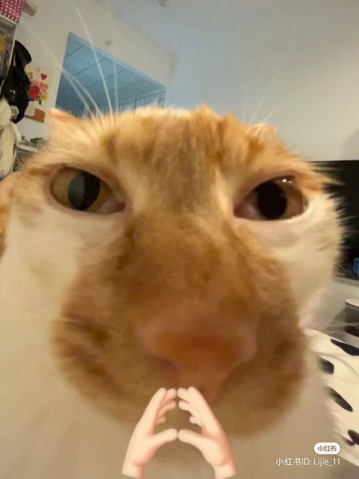 1745736057780.png