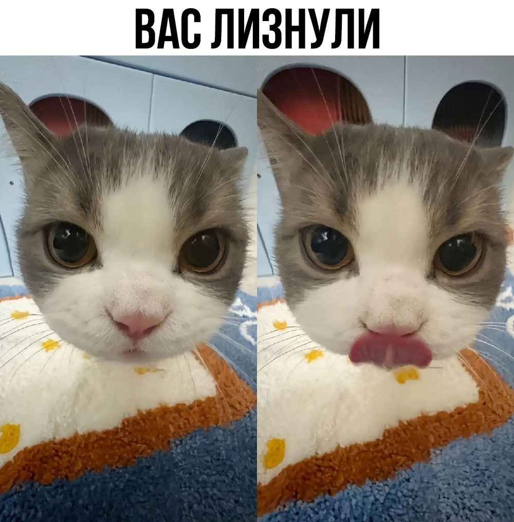 1745846116511.png