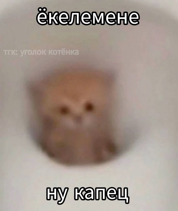1745996751285.png