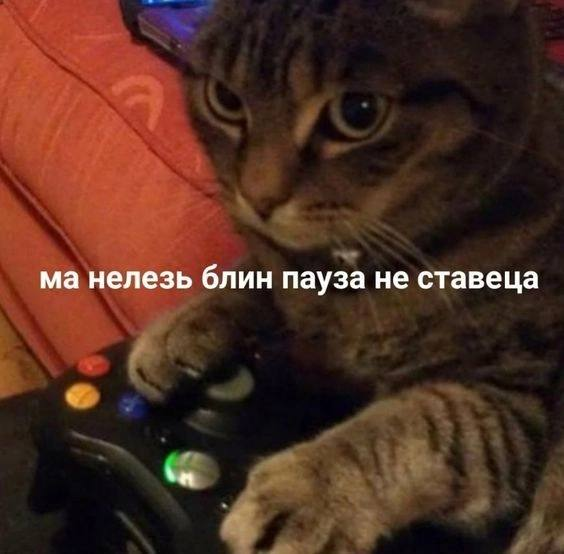 1746002412420.png