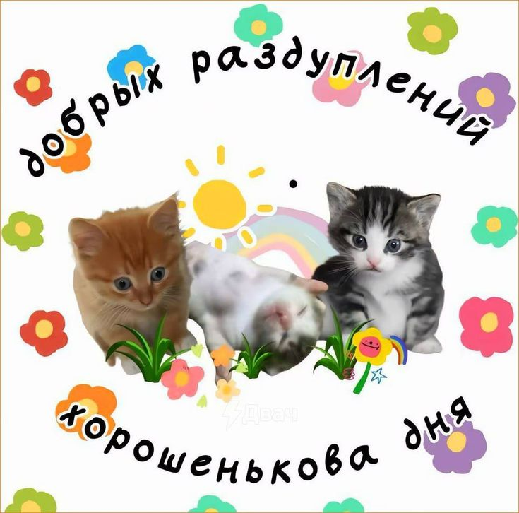 1746077624737.png