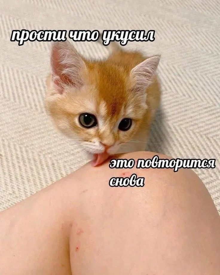 1746107651771.png