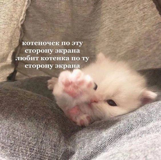 1746190842286.png