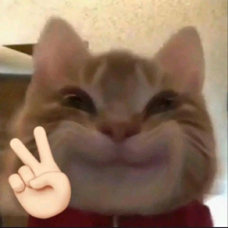 1746191553566.png