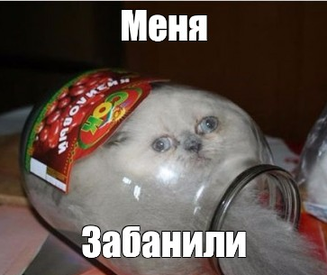 1746426445873.png