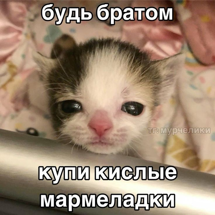 1746471982081.png