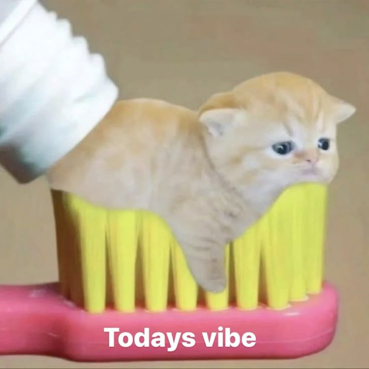 1746506277118.png