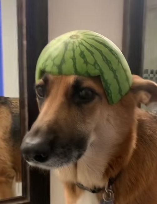1746531359212.png