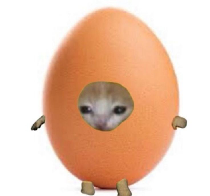 1746550308575.png