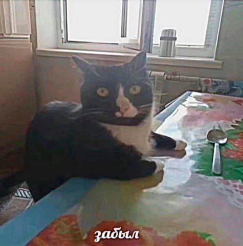1746565156927.png