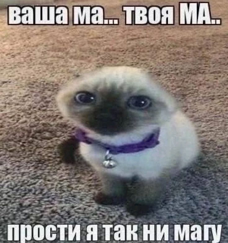 1746604156464.png