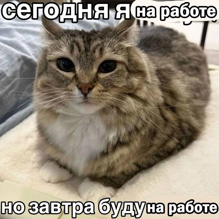 1746771599767.png