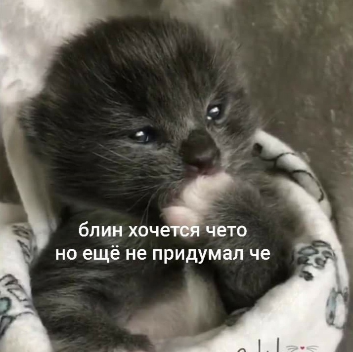 1746916363938.png