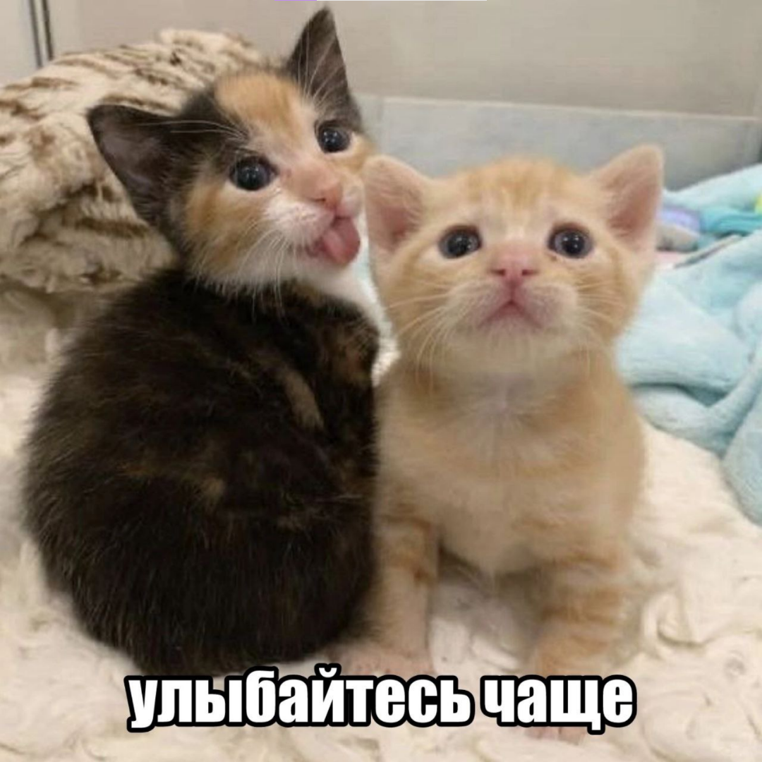 1746975894675.png