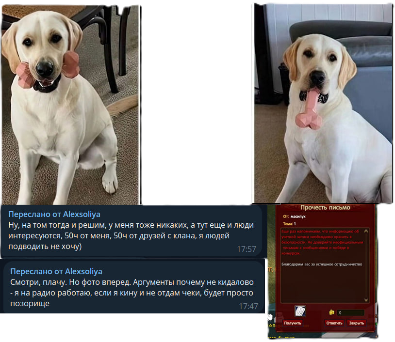 1747059665429.png