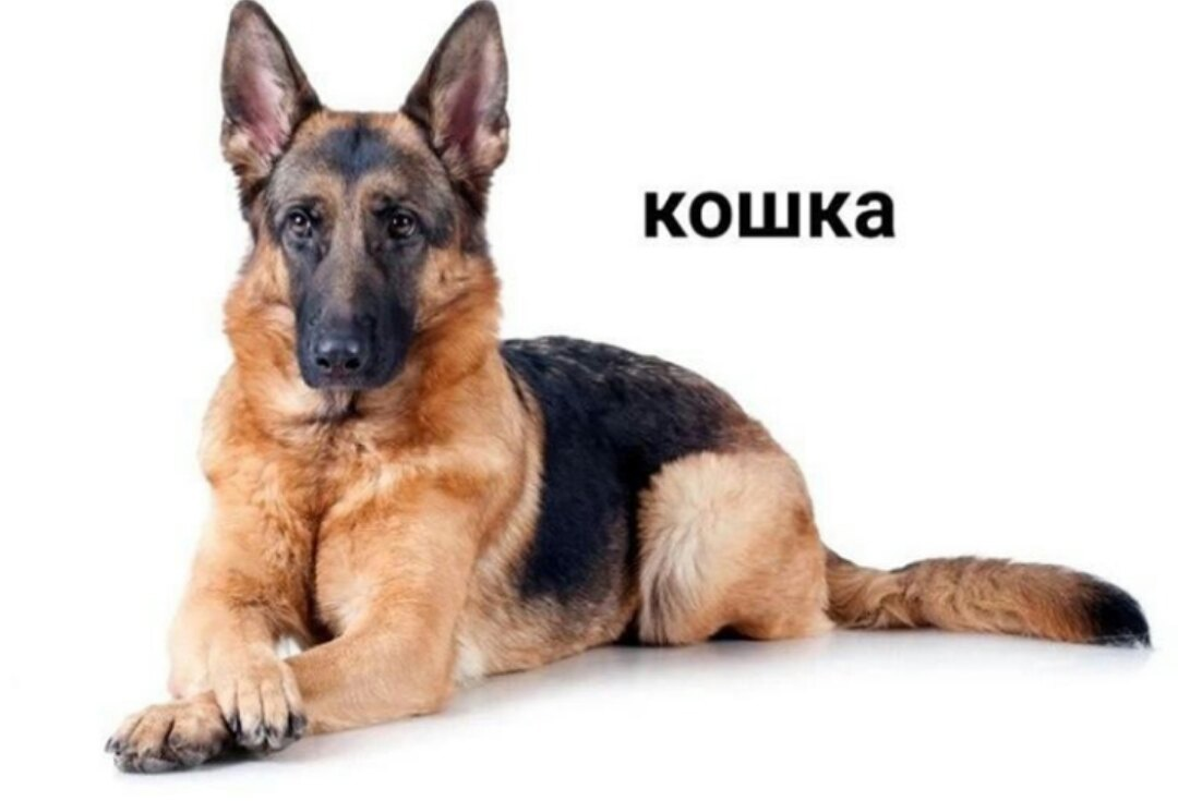 1747066222877.png