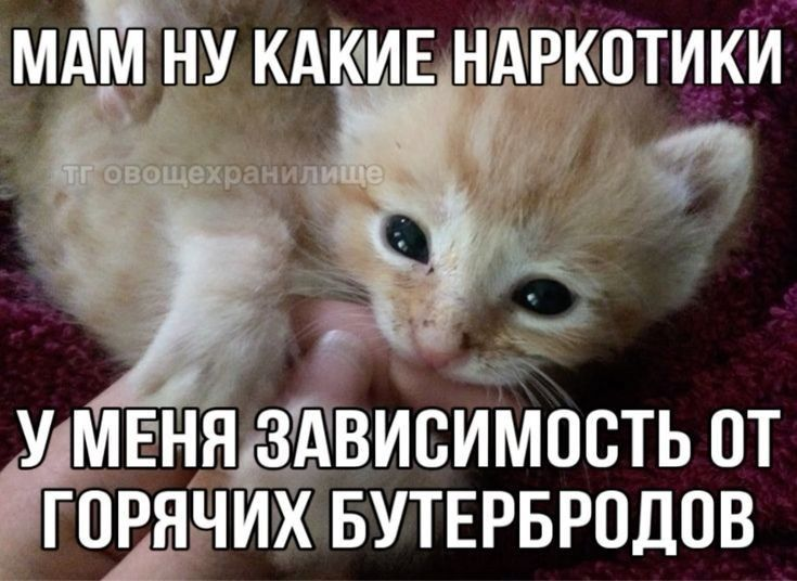 1747132860478.png