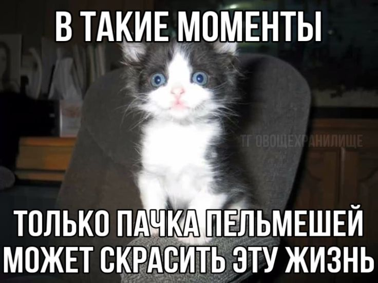 1747132986938.png