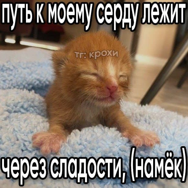 1747133295907.png