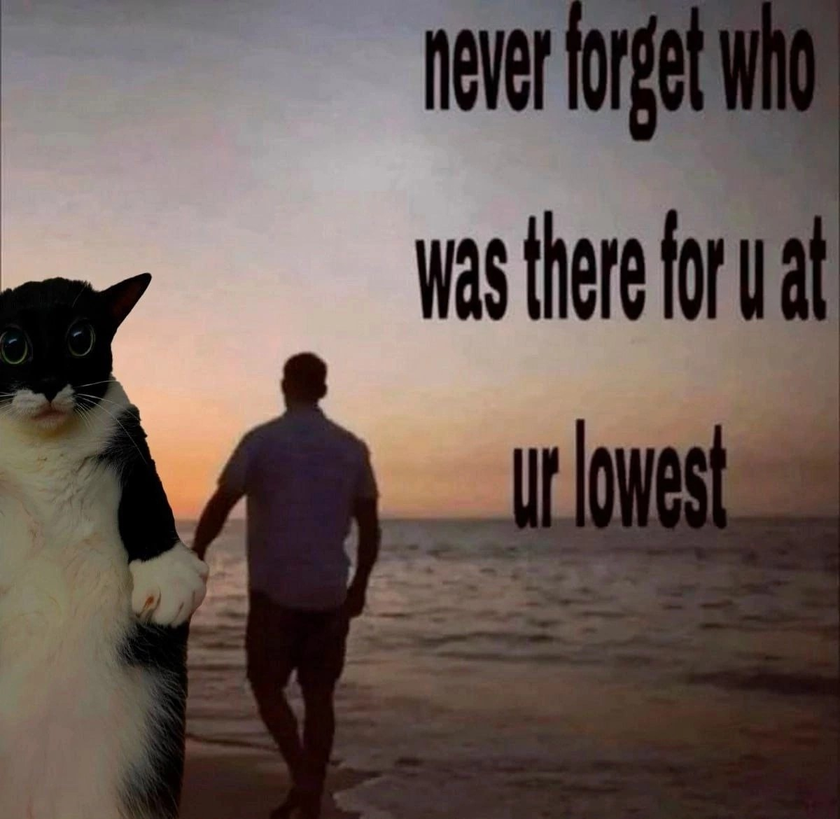 1747147617790.png