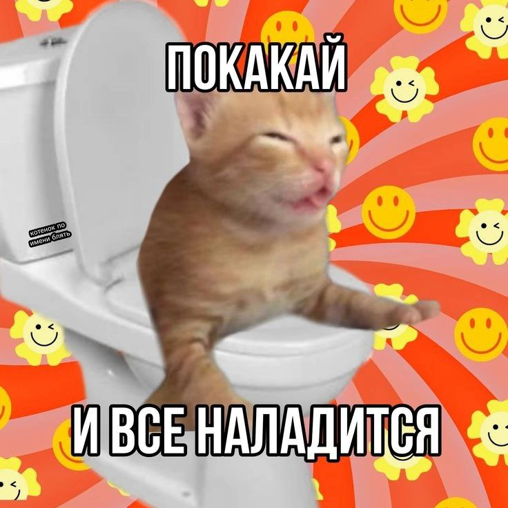 1747216017393.png
