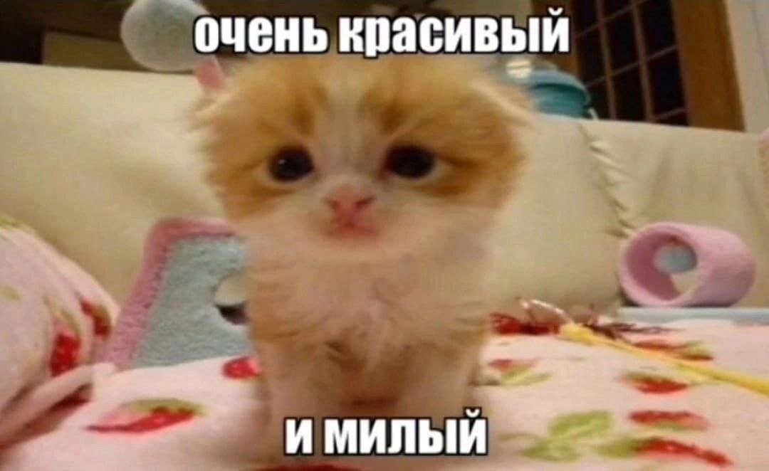 1747216049020.png