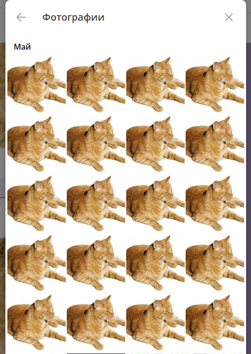 1747231900451.png