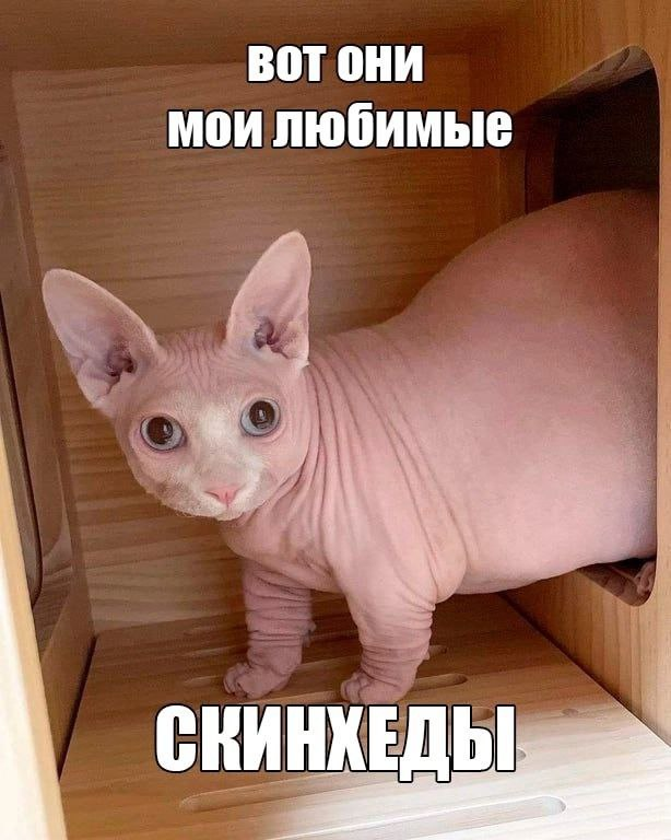 1747294757581.png