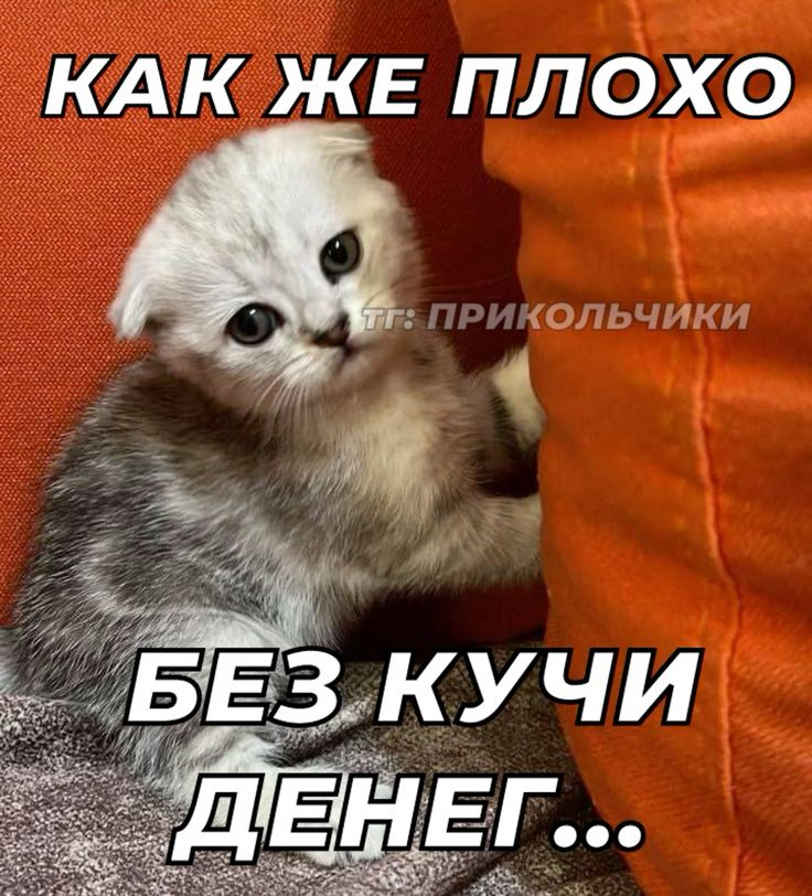 1747335345327.png
