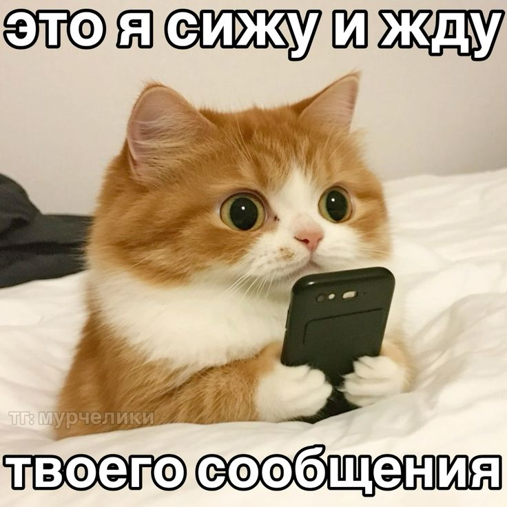 1747356399242.png