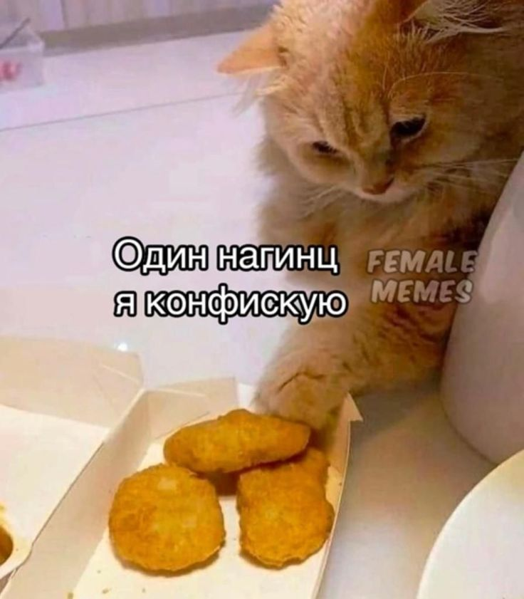1747410174114.png