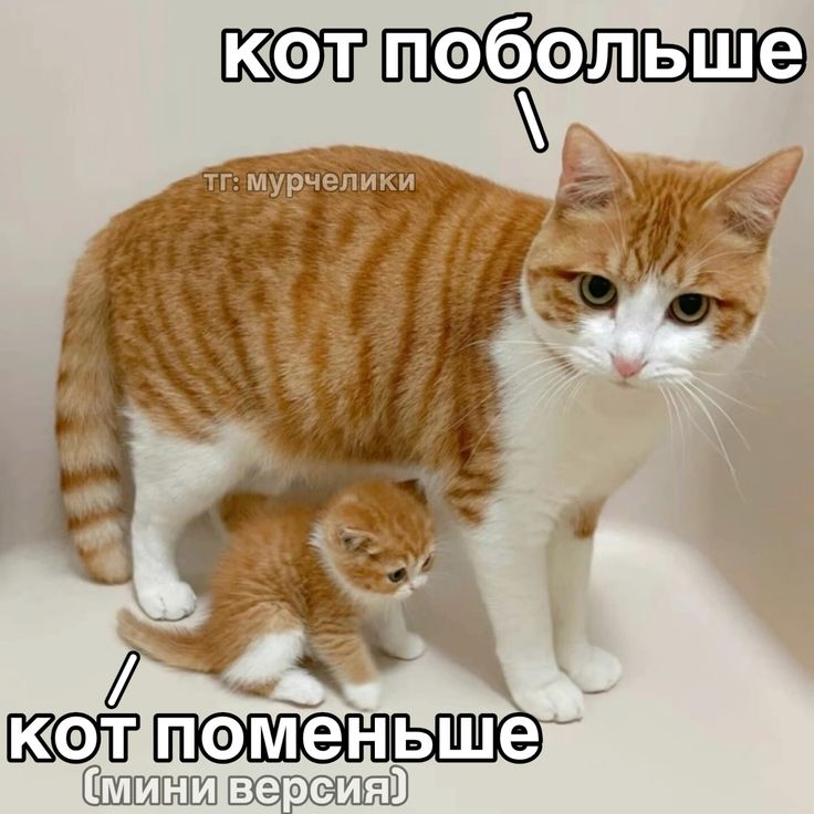 1747410424029.png
