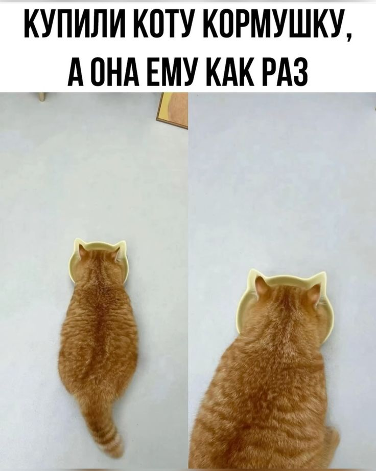 1747487408717.png